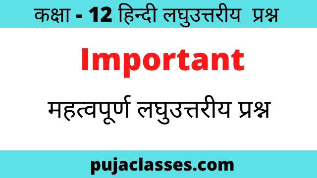You are currently viewing उसने कहा था’-कहानी के मुख्य पात्र कौन हैं ?